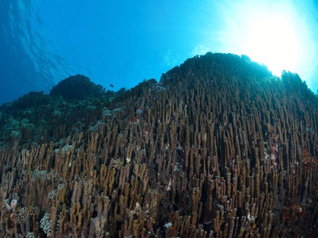 東海岸エリアイメージ