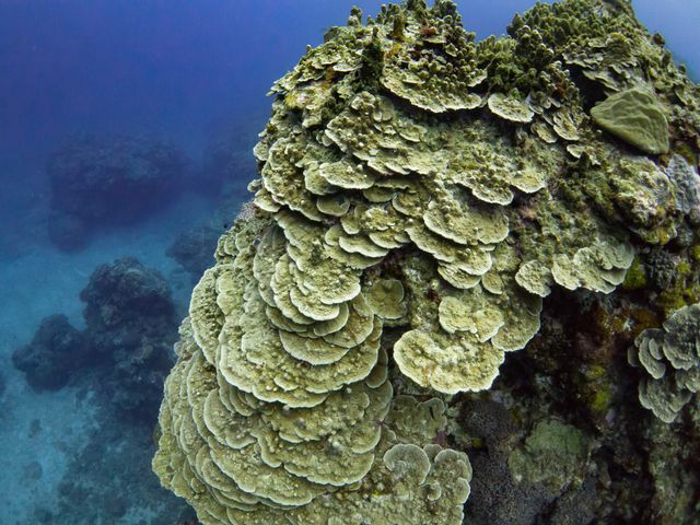 北谷～南部エリア<br />
イメージ