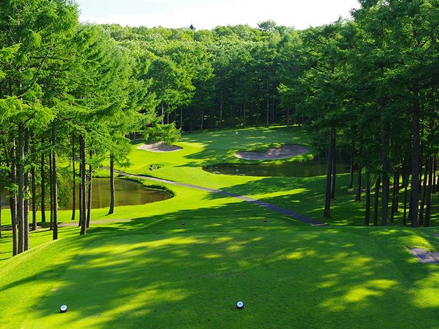 ニドムクラシックコース レンタカー付イメージ