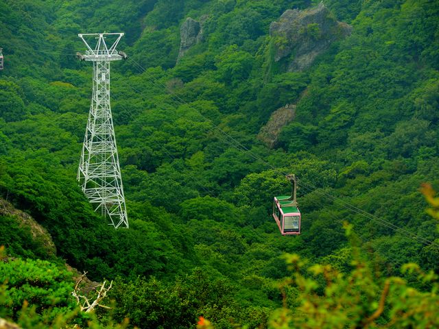 寒霞渓の魅力②<br />
夏の新緑イメージ