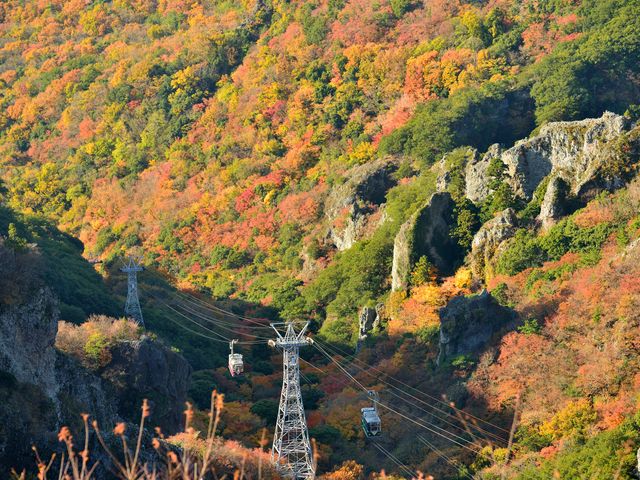 寒霞渓の魅力③<br />
定番の紅葉イメージ