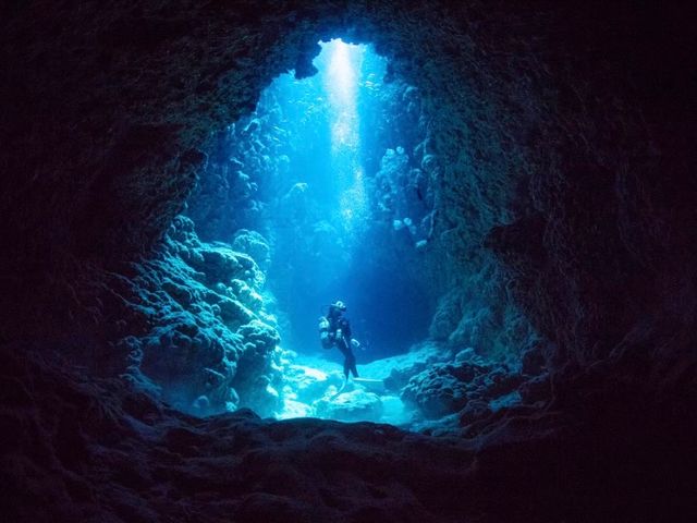 カピリナイメージ