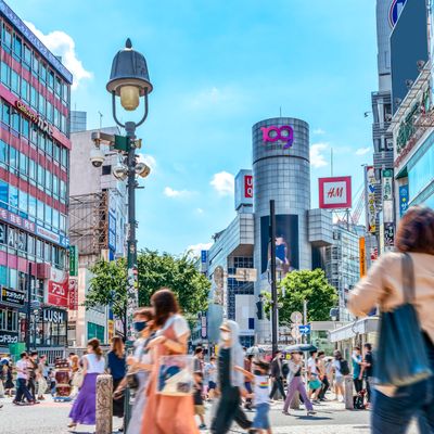 六本木周辺・渋谷のホテルイメージ