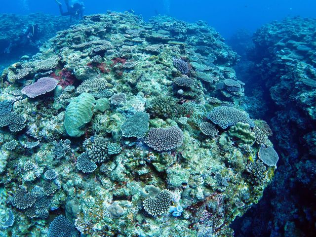 与論島のシーズナリティイメージ