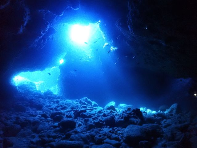 BLUE TABBYイメージ