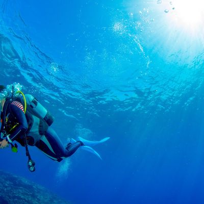 シングルダイバー応援プランイメージ