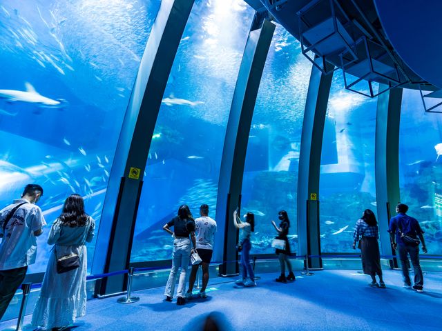 横浜・八景島シーパラダイス アクアリゾーツイメージ