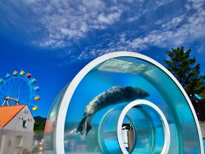 子供と一緒にお出かけ♪北海道の水族館に行こう!イメージ