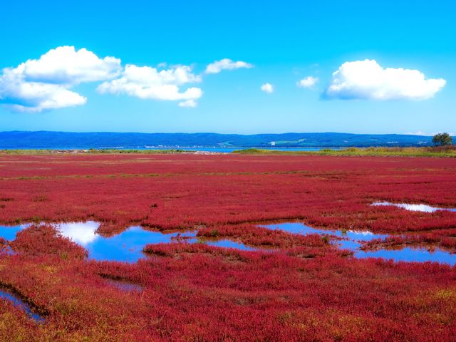 【網走】能取湖イメージ