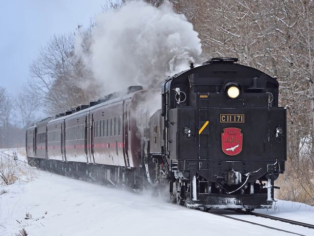2月の北海道 楽しみ方イメージ