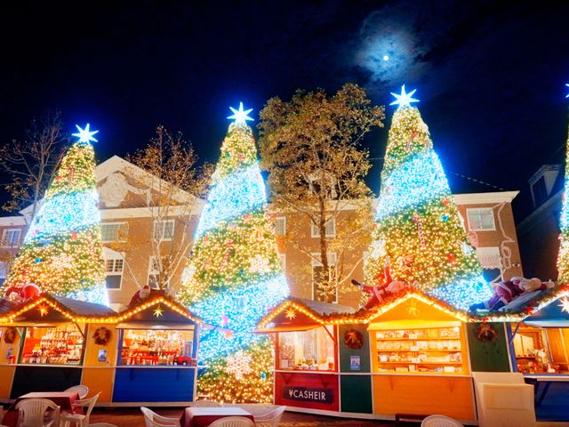 光の街のクリスマス(11~12月)<br />
2021年11月6日〜2021年12月26日イメージ
