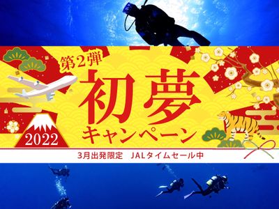 沖縄ダイビングツアー 初夢キャンペーン 第2弾イメージ