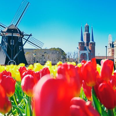 春のハウステンボス イベント・季節情報イメージ