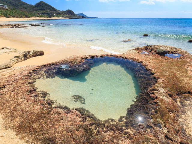 奄美大島フリープランイメージ