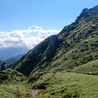 世界遺産「屋久島」2泊3日定番モデルコースイメージ