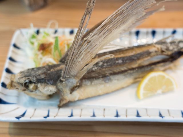 屋久島フリープランイメージ