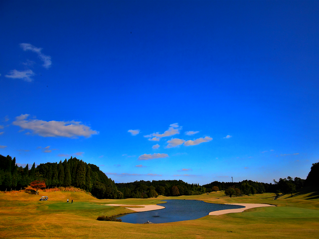 トーナメント開催コースイメージ