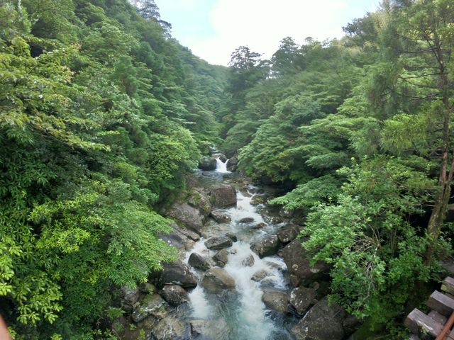 屋久島公認ガイドとは？イメージ