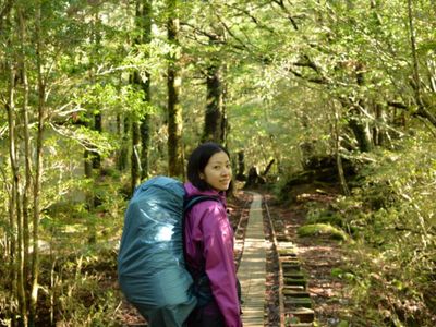 専属ガイドと行く！縄文杉登山コース「屋久島フリープラン」イメージ画像