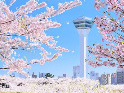 五稜郭