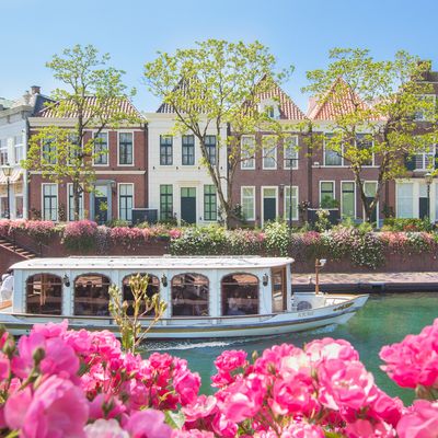 【九州オプショナルツアー】観光・体験・アクティビティ予約イメージ