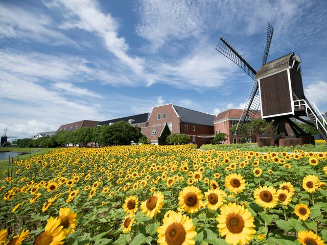 九州周遊フリープラン｜ハウステンボス１ＤＡＹパス付　イメージ