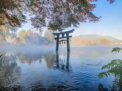 金鱗湖