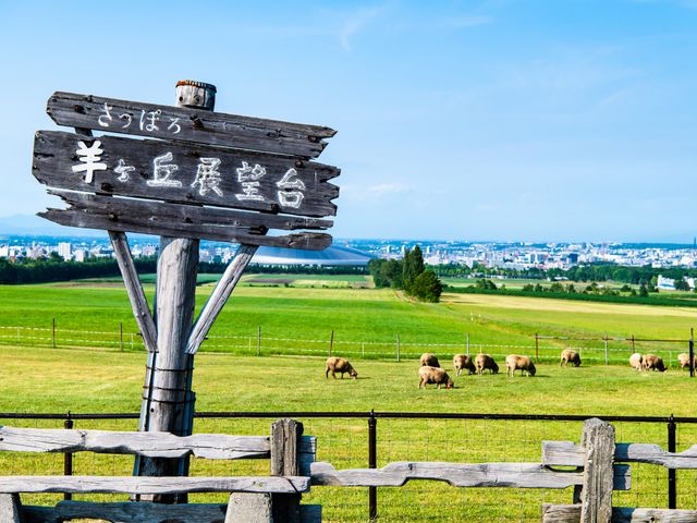 札幌・小樽フリープラン(レンタカー付き)イメージ