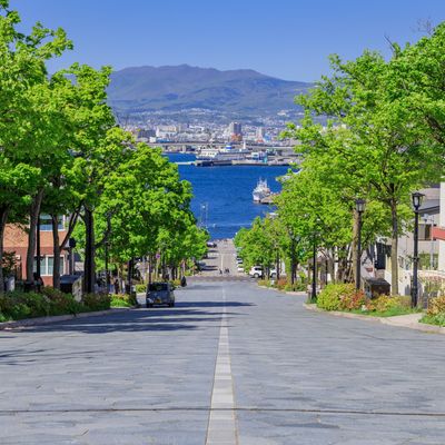 函館・道南フリープランイメージ