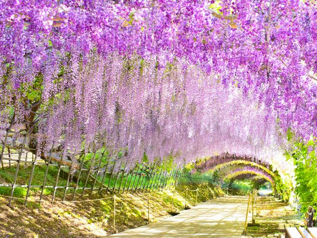 第4位 九州イメージ