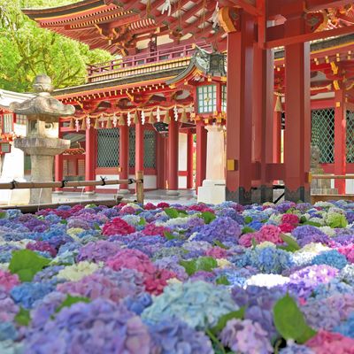 福岡旅行＆長崎イメージ