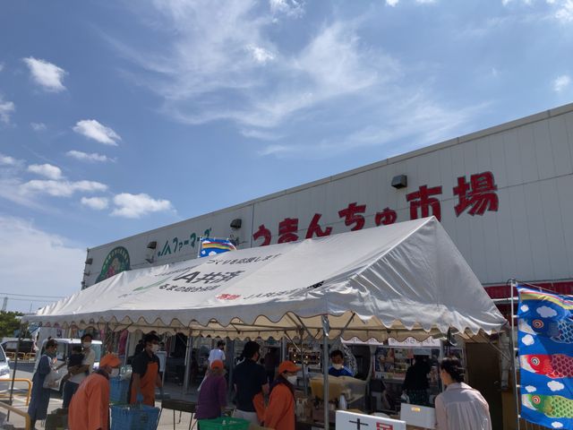 新鮮なフルーツなら道の駅イメージ