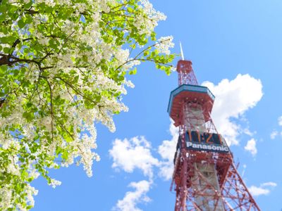 「往復航空券と2日目のホテル1泊」プランイメージ