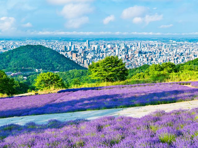 レンタカー乗り捨て無料・ガソリン満タン返し不要イメージ