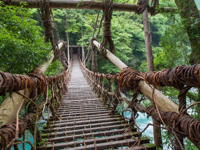 5月の四国エリアは･･･イメージ