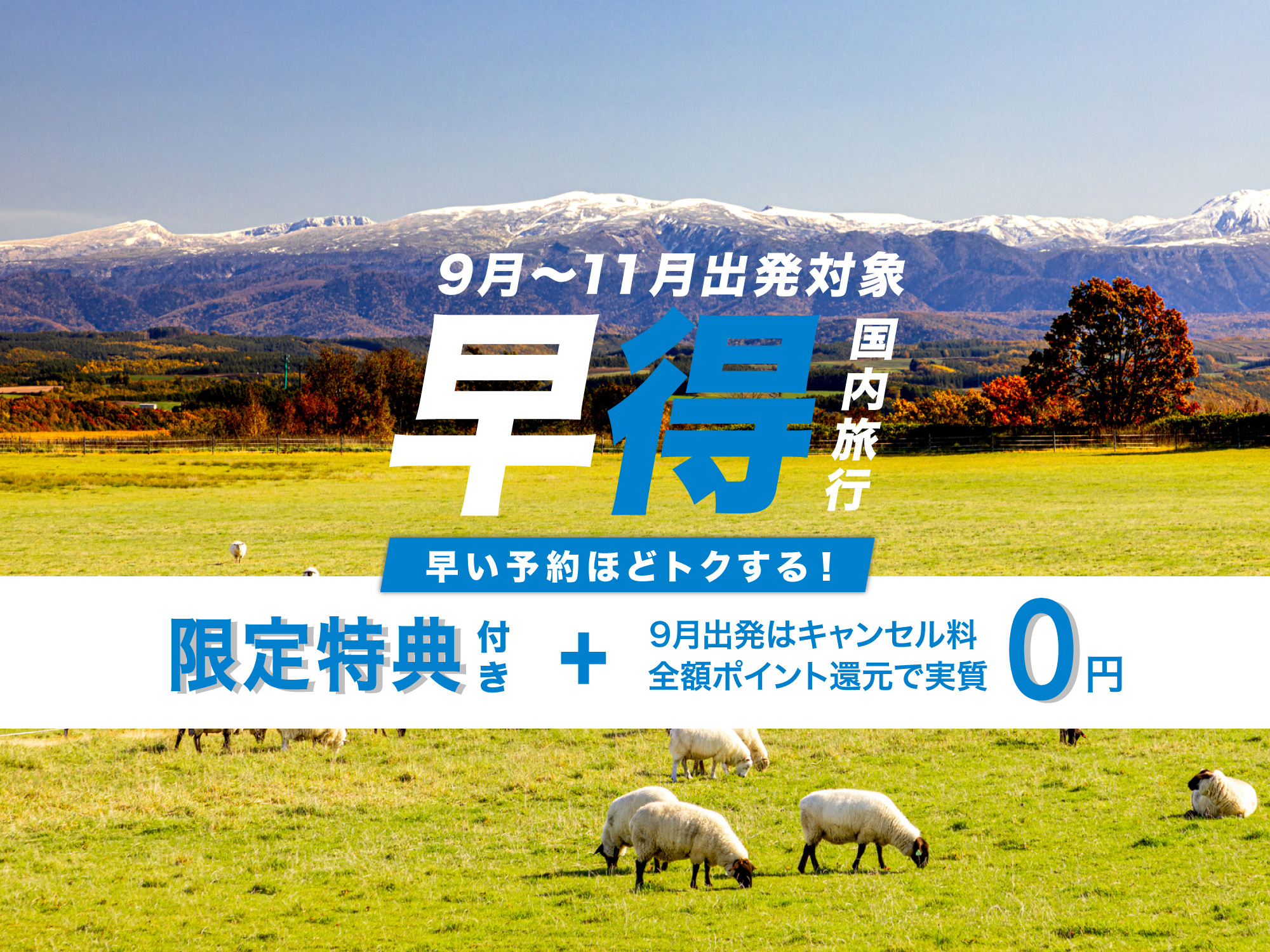 早得キャンペーン【北海道旅行】 福岡発｜北海道旅行・北海道ツアーなら格安旅行のJTRIP