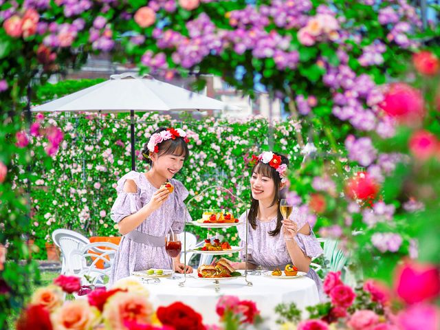 初夏の花の街 ワンダーランド<br />
2022年5月7日~2022年7月8日イメージ