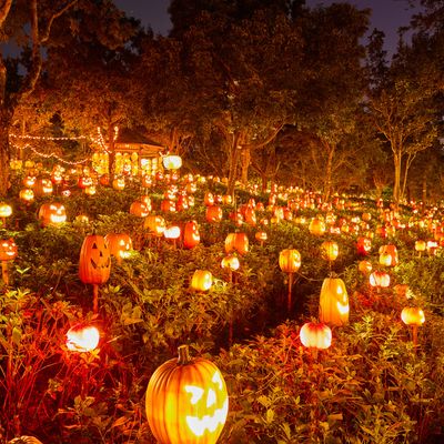 秋のハウステンボス イベント・季節情報イメージ