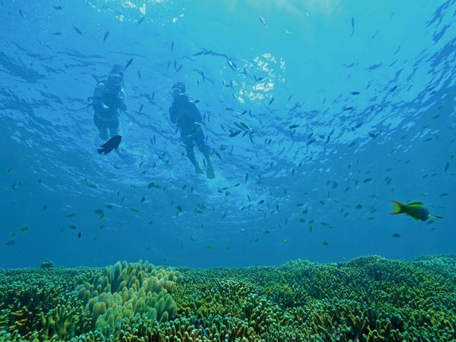 ★J-TRIPスペシャル特典<br />
　館内利用券プレゼントイメージ