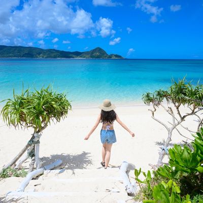 奄美・屋久島・南西ツアー 値下げ情報イメージ