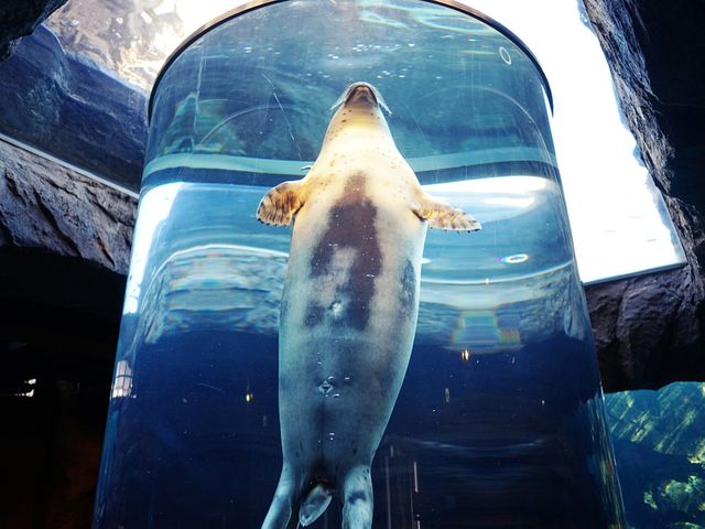 旭山動物園イメージ