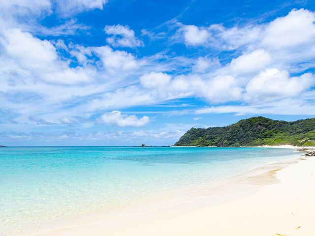 奄美一人旅の魅力イメージ