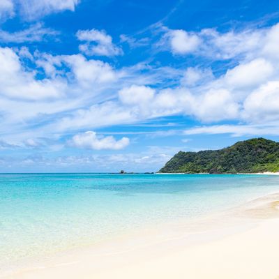 まるごと奄美大島で癒される 3泊4日モデルコースイメージ