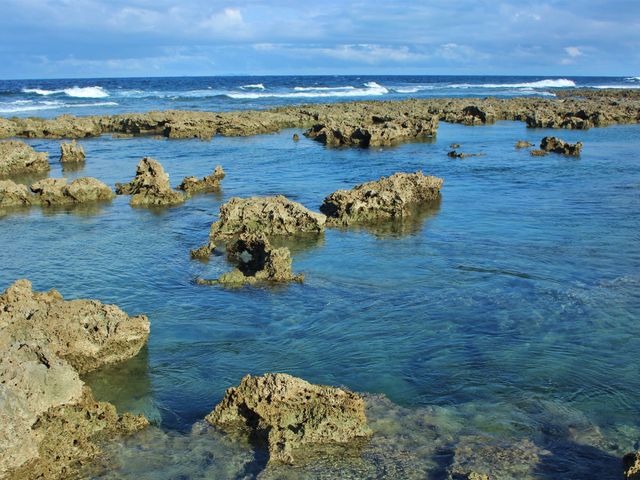 熱帯魚の家イメージ