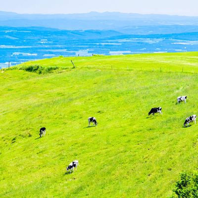 十勝・帯広のホテルイメージ