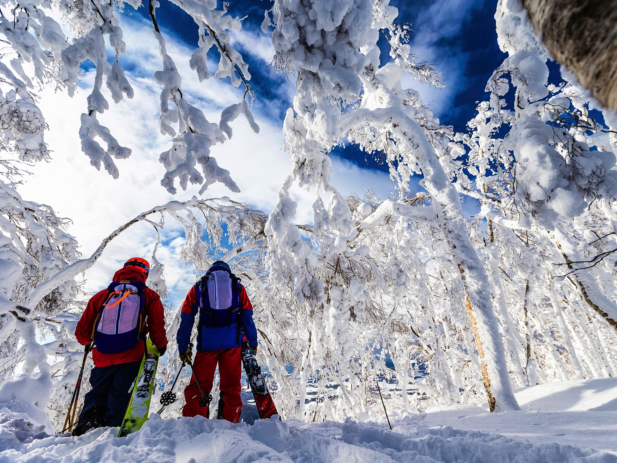 ルスツリゾート 東京発｜JALで行く！北海道スキーツアー・スノボツアー