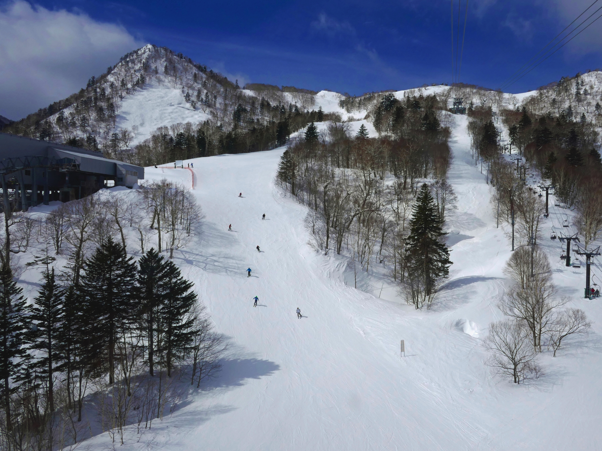 特別プランでとにかく安い！北海道スキーツアー 東京発｜北海道スキー