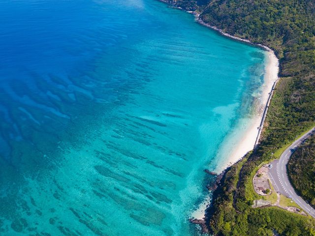 奄美大島フリープラン|レンタカー付イメージ