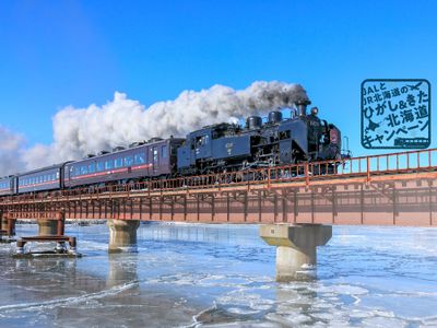 冬限定！JAL×JR北海道特別キャンペーンイメージ