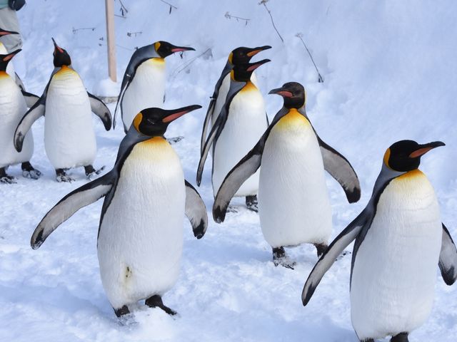 1月の北海道観光情報<br />
おすすめスポットイメージ